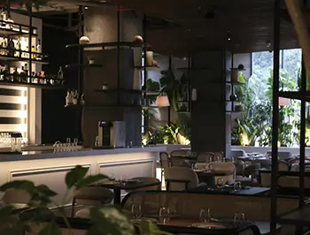 Elegant El Born restaurant interior with modern bar and dining area Renovated El Born restaurant with modern bar, open shelving, indoor plants and neatly set dining tables