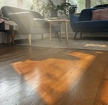 Cozy living room with warm laminate wood flooring Cozy living room with sunlight on warm laminate wood flooring, blue sofas and coffee table